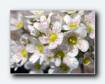 Klik for forst�rrelse